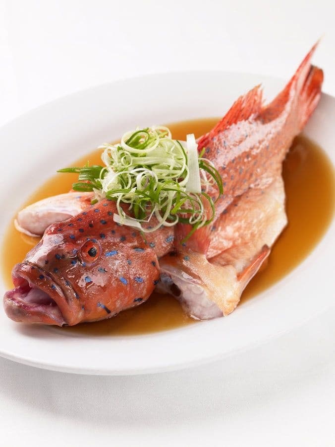 Steamed Red Grouper Fish
